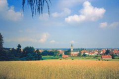 Getreidefeld, dahinter der Ort mit der katholischen Kirche